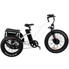 Aluminum Alloy Electric Tricycle E Bike